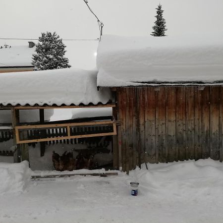 Haus Gell Hotel Mauterndorf  Luaran gambar