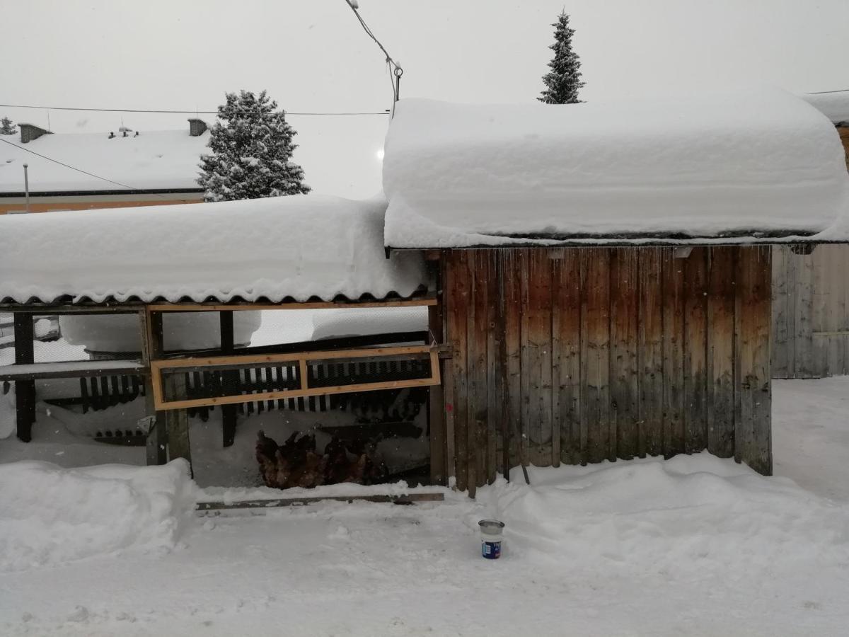 Haus Gell Hotel Mauterndorf  Luaran gambar